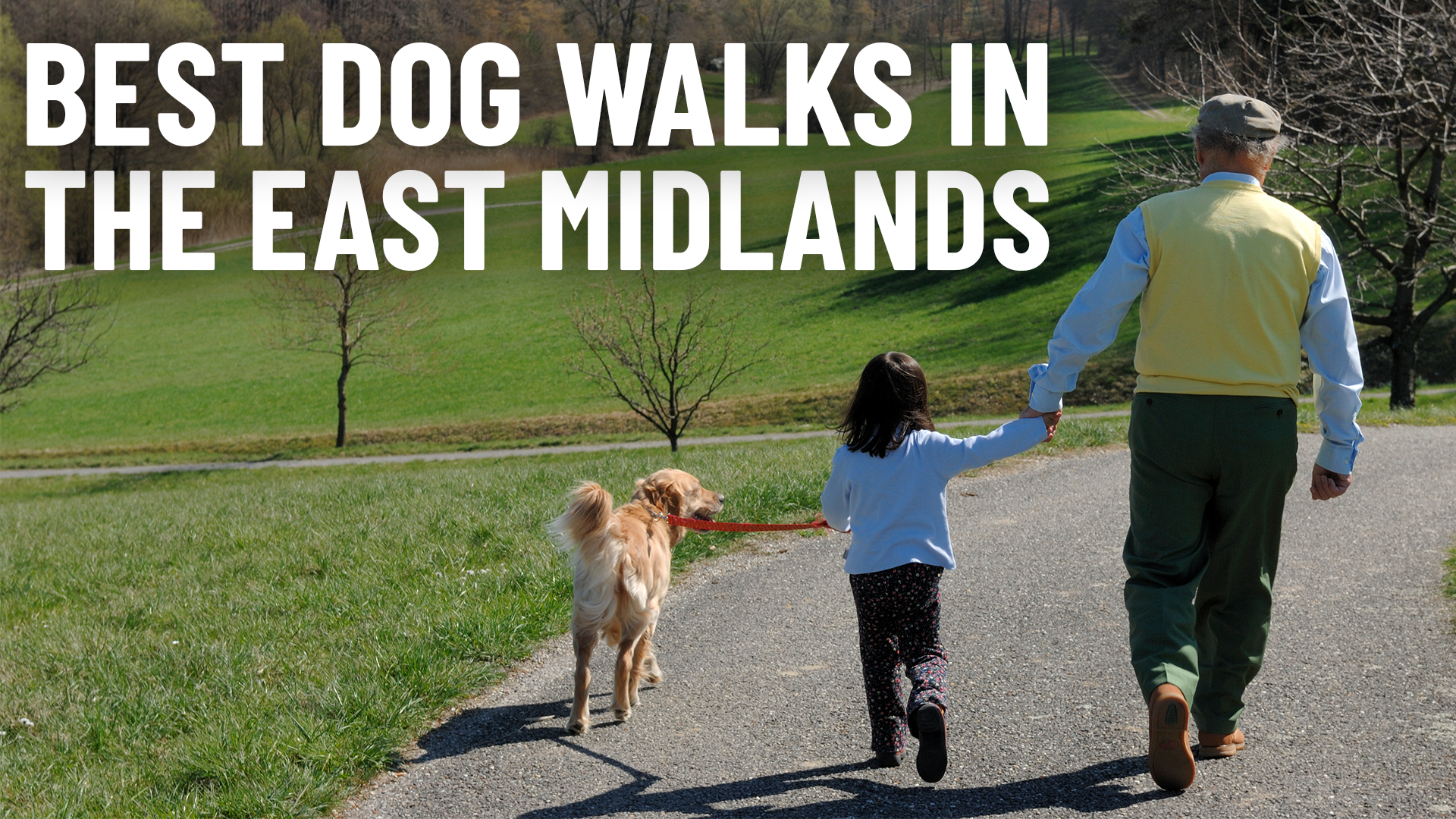 The best places in the East Midlands for dog walking 🐕 Local Hits